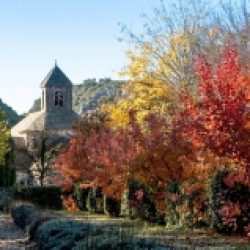 Morceaux choisis – 705 / Thomas Merton
