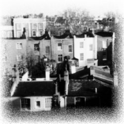 Chemins de traverse – 397 / Francis Cabrel