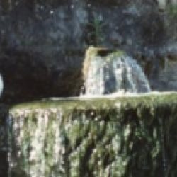 Lire le Nouveau Testament – 27 / La vocation – III