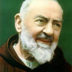 Morceaux choisis – 548 / Padre Pio