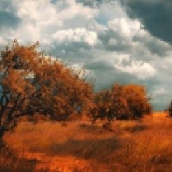 Une étreinte de feu – 155 / Grégoire de Narek