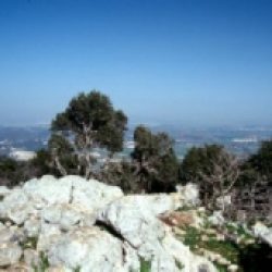 Présence de Dieu, présence à Dieu – 1