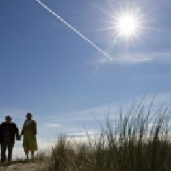 Chemins de traverse – 541 / Marcel Proust
