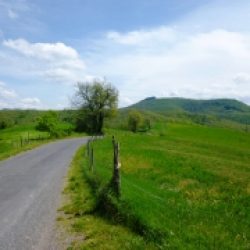 Morceaux choisis – 553 / Bernard de Clairvaux