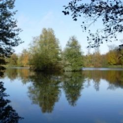 Morceaux choisis – 468 / Thomas Merton