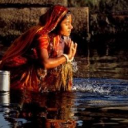 La Citation Du Jour 609 Matthieu Ricard Jubilate Deo La Spiritualite Au Quotidien