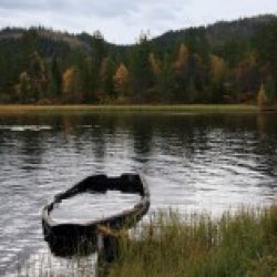 Chemins de traverse – 66 / Virginia Woolf