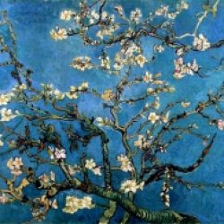 Morceaux choisis – 615 / Vincent Van Gogh
