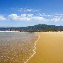 Chemins de traverse – 616 / Fernando Pessoa