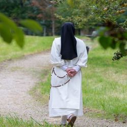 Morceaux choisis – 781 / David Le Breton