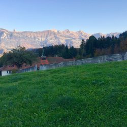 Chemins de la contemplation – 11