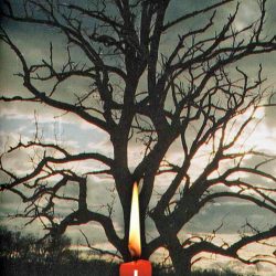 La prière du Rosaire – 10 / Les Mystères glorieux