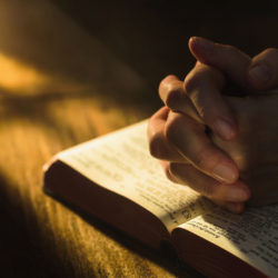 Morceaux choisis – 987 / Martin Luther